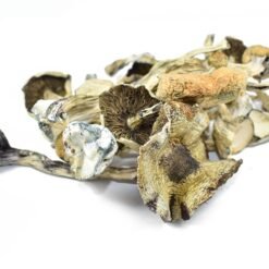 Buy A+ Magic Mushrooms Online