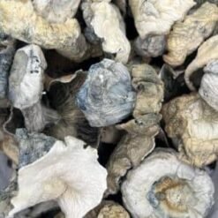buy blue meanie magic mushrooms online