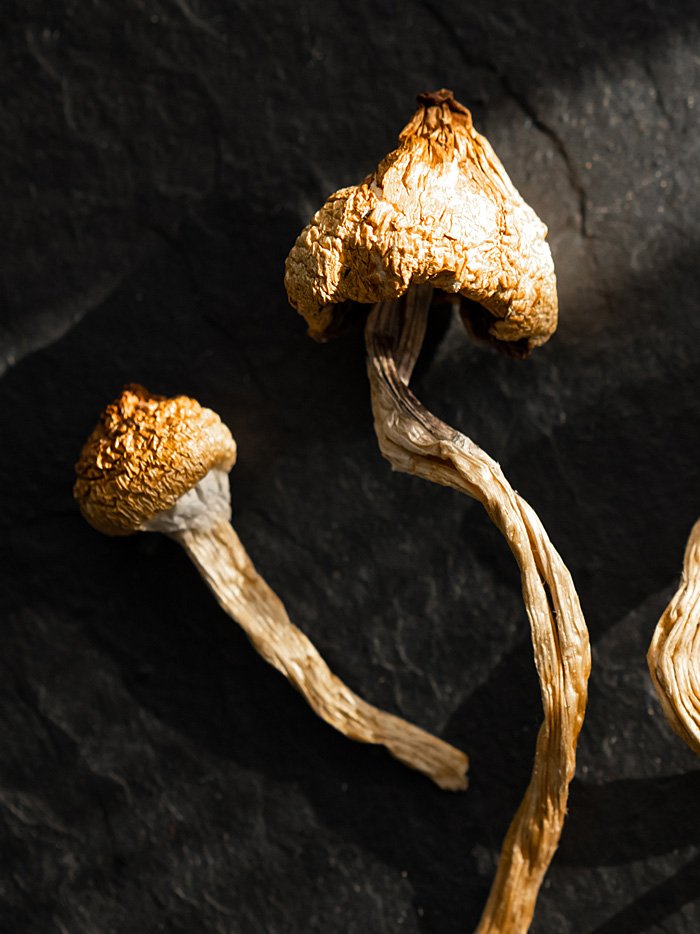 buy wavy cap magic mushrooms